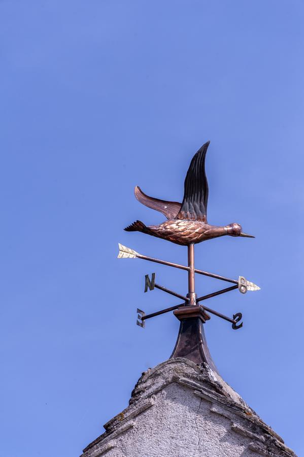 Moulin Madame - Gites & Chambres D'HotesDracy-le-Fort エクステリア 写真